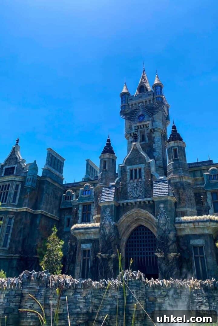 Epic Universe Food Guide: What We’ve Tried and Where to Eat 15 frankensteins castle dark universe epic
