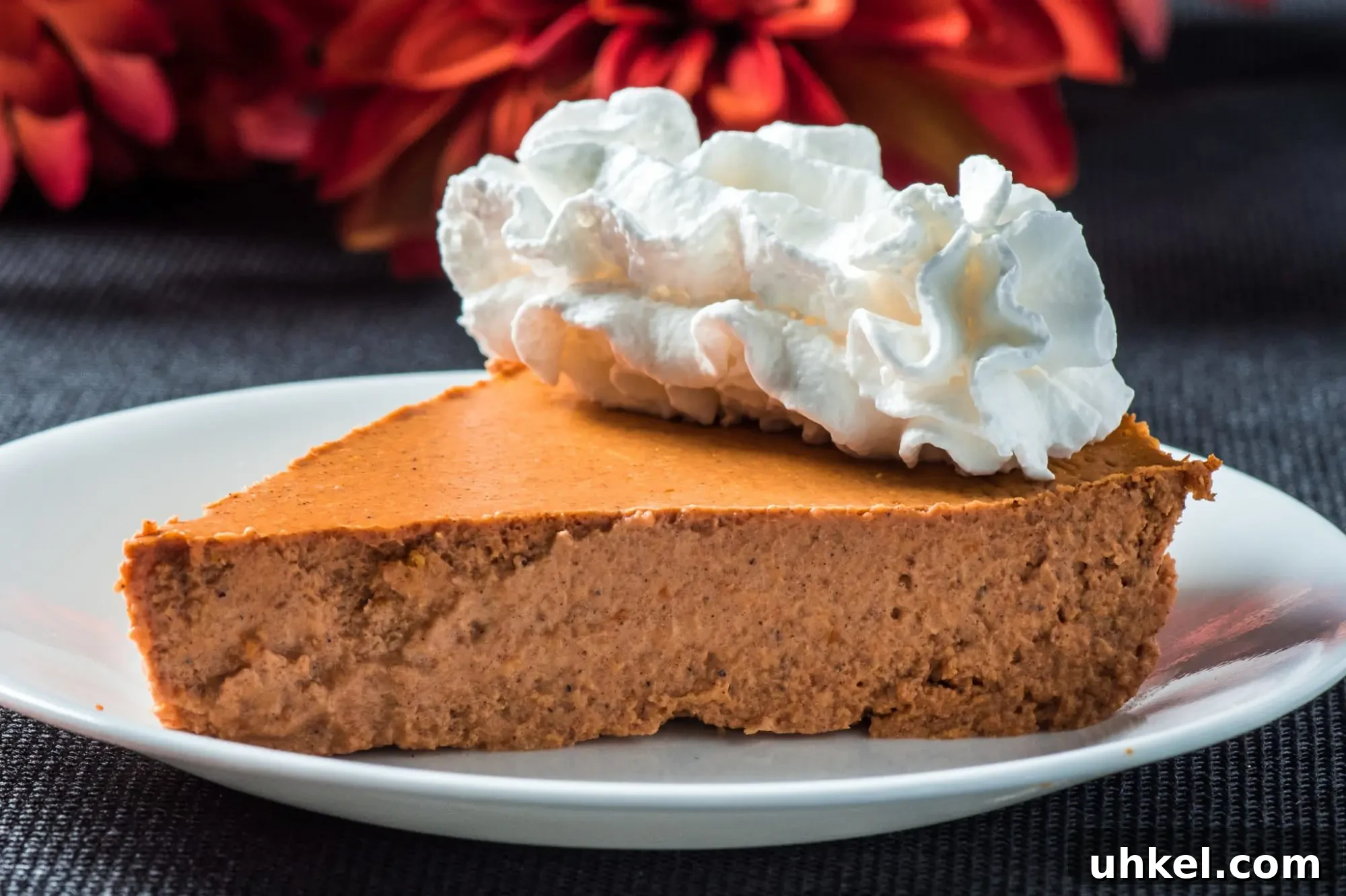Crustless Pumpkin Pie (Low-Carb, Keto-Friendly) 5 Pumpkin pie slice