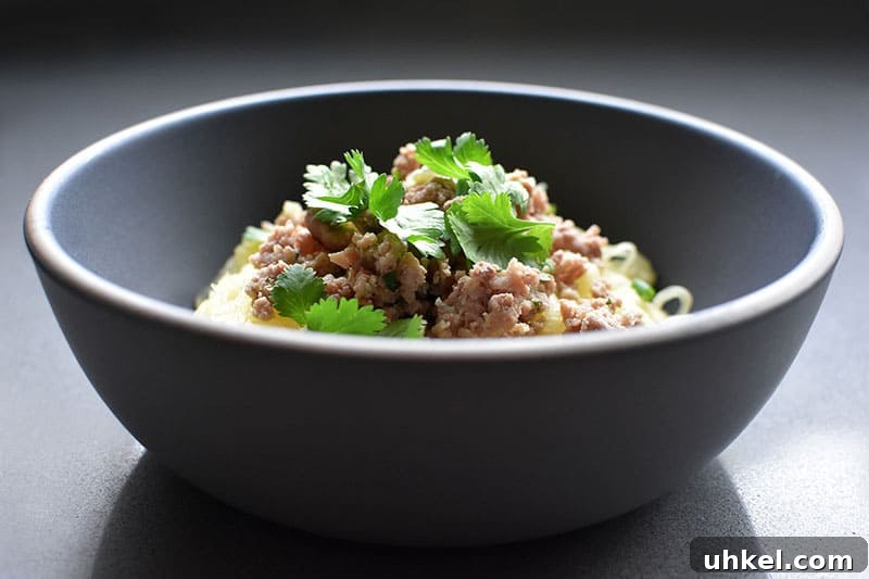 Instant Pot Spaghetti Squash — Quick Foolproof Pressure Cooker Recipe 15 A side view of a bowl of Instant Pot (Pressure Cooker) Spaghetti Squash topped with ground pork and cilantro leaves.