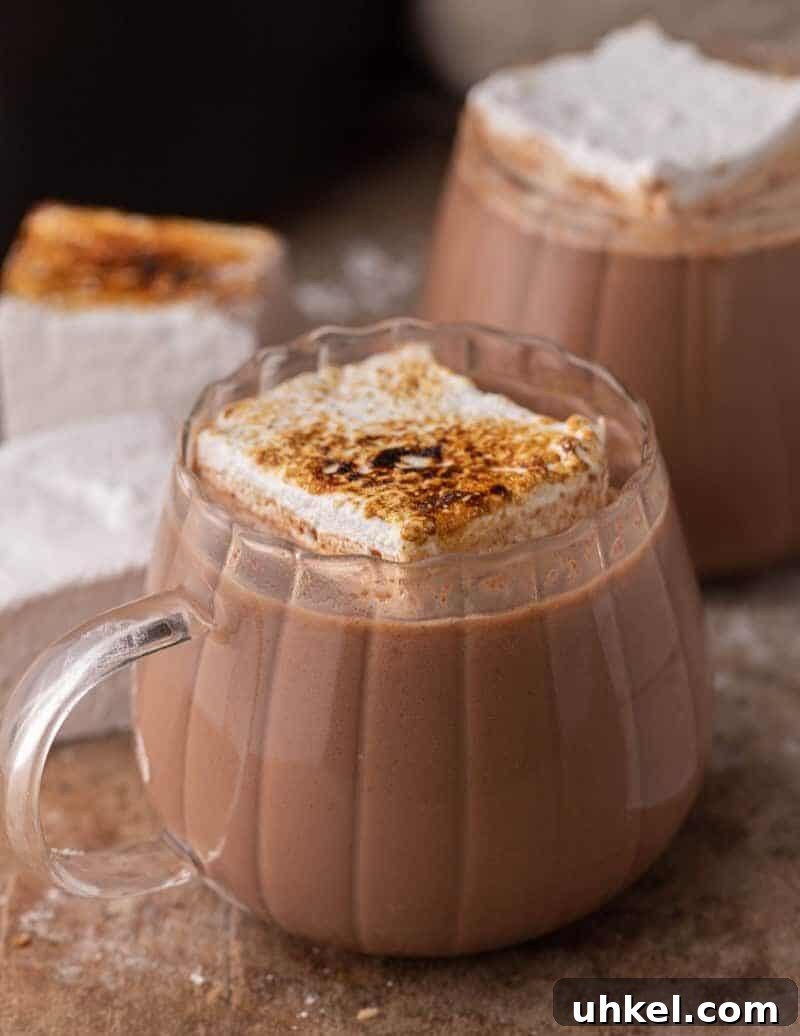 Close-up of slow cooker hot chocolate in a glass mug topped with toasted marshmallow.