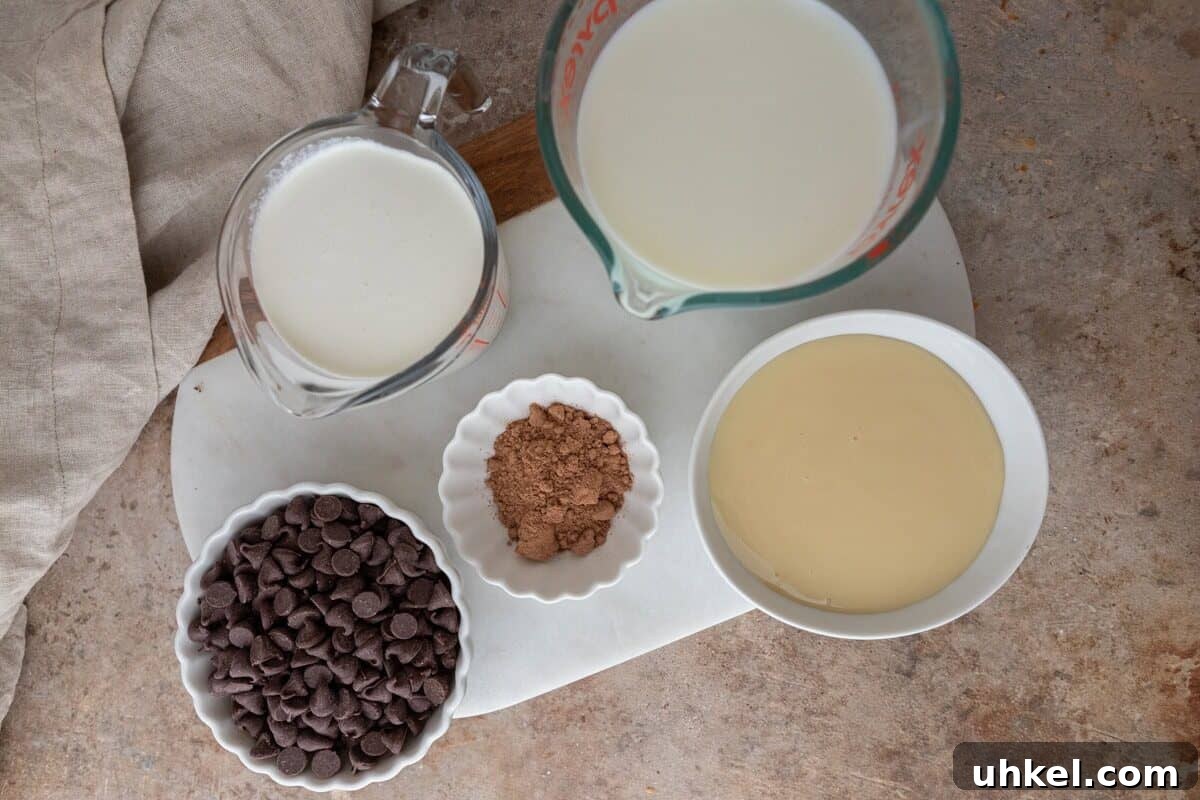 Ingredients including milk, cream, cocoa powder, chocolate chips, and sweetened condensed milk.