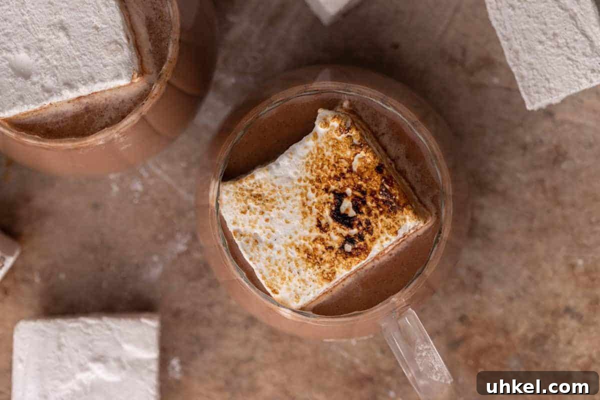 Overhead view of hot cocoa in a glass mug topped with a toasted marshmallow.