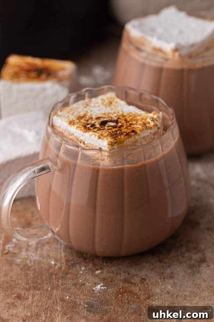 Close-up of slow cooker hot chocolate in a glass mug topped with toasted marshmallow.