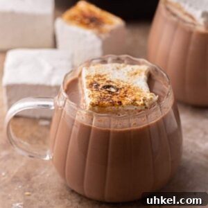 hot cocoa in a crock pot in a glass with a marshmallow