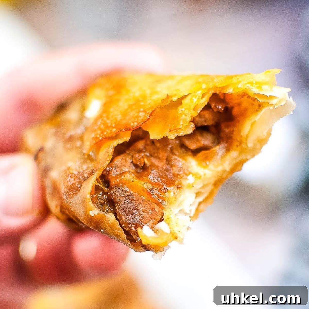 Air Fryer Cheesesteak Egg Rolls (Oven-Baked Option) 2 closeup of a hand holding a partially eaten air fried cheesesteak egg roll.
