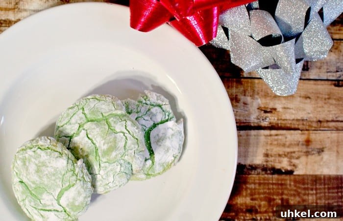 vegan crinkle cookie recipe feature