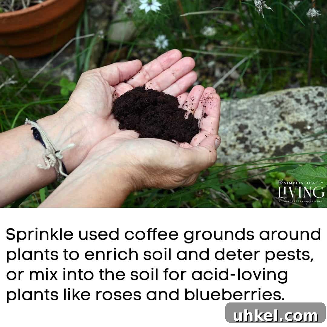 hands holding coffee grounds over garden