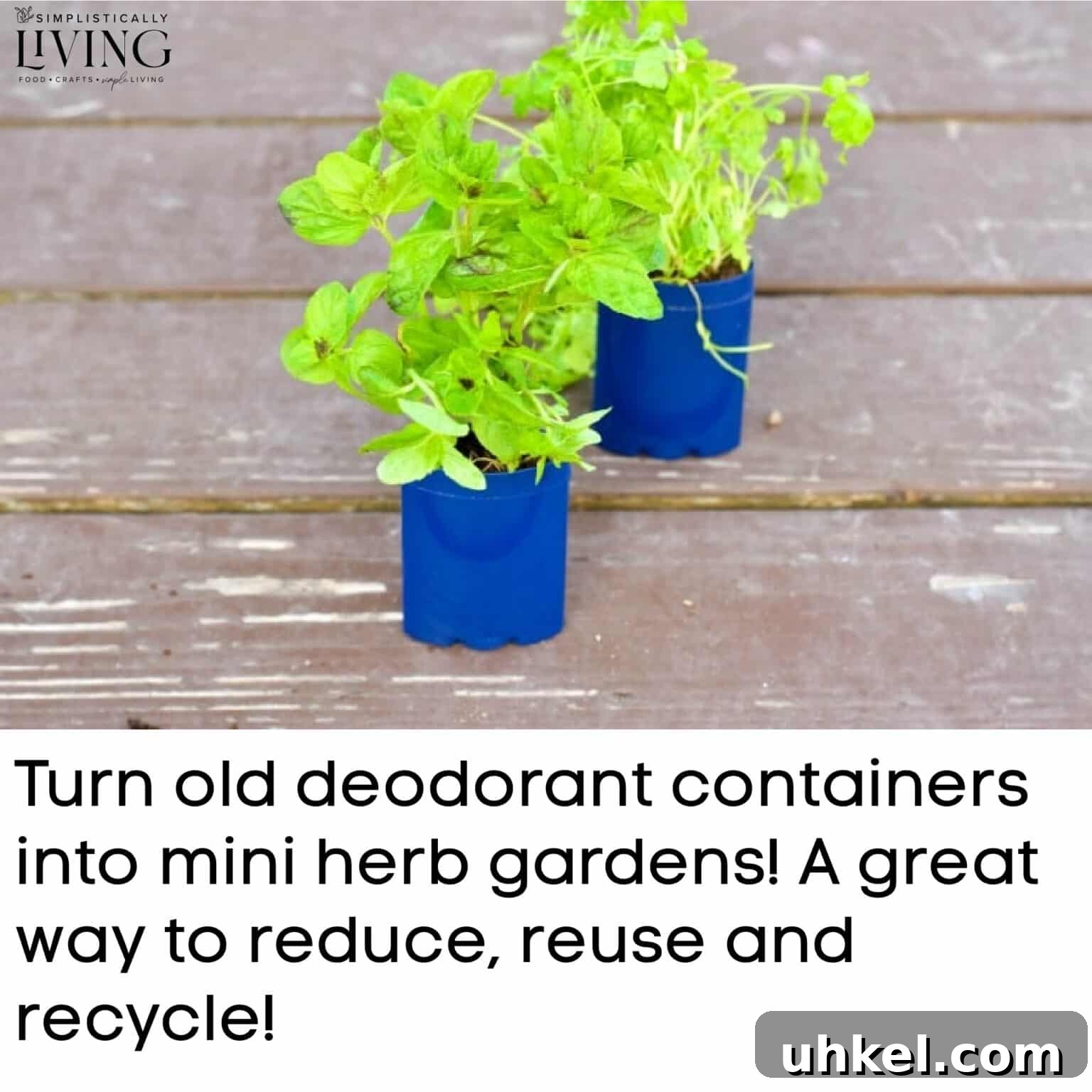 old deodorant containers turned into mini herb gardens