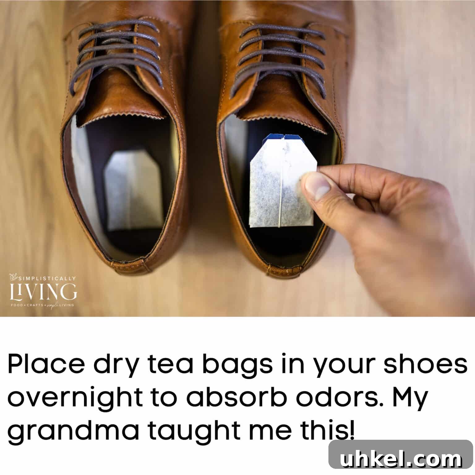 dry tea bag in shoe to remove odors