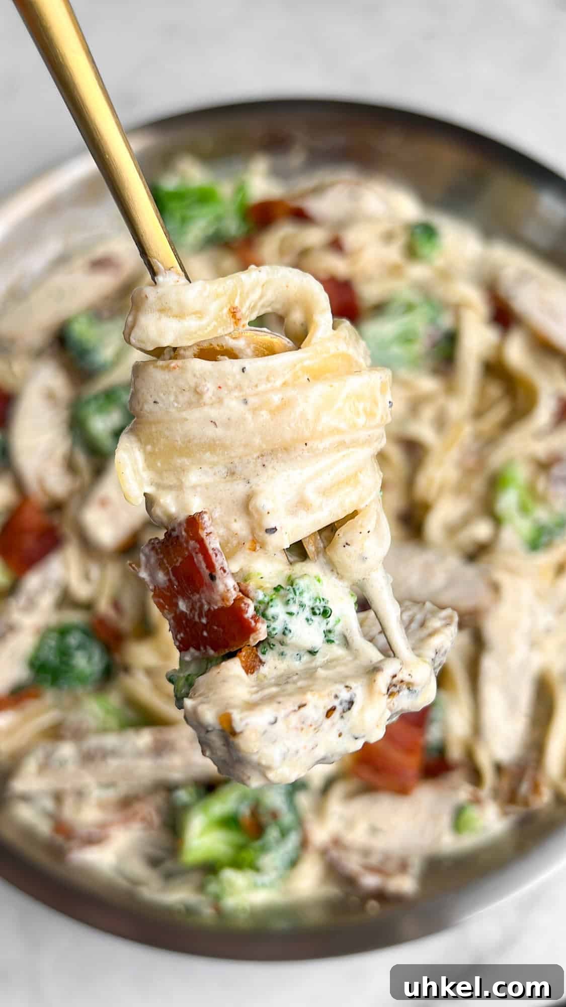 Creamy Chicken, Bacon and Broccoli Alfredo 3 chicken bacon broccoli alfredo