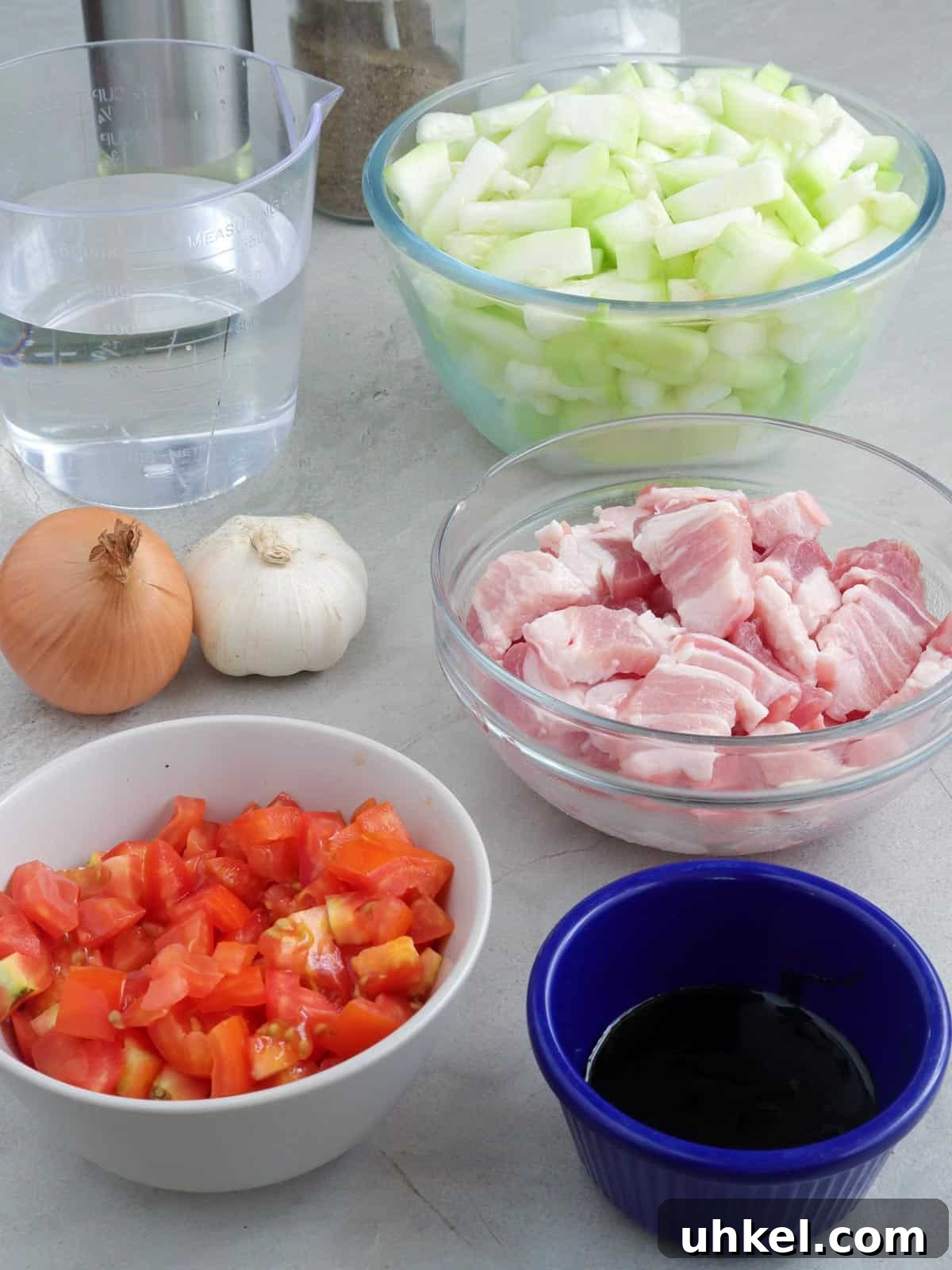 Ginisang Upo: Sauteed Bottle Gourd with Pork 3 diced pork belly, chopped tomatoes, diced upo, onion, garlic, oyster sauce