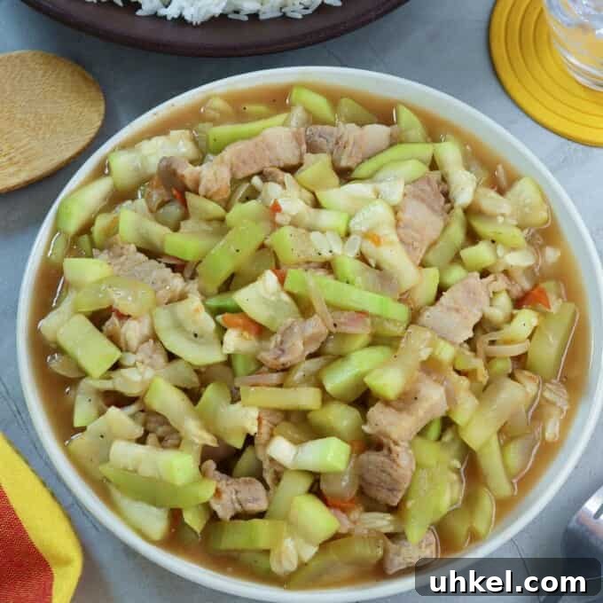 Ginisang Upo: Sauteed Bottle Gourd with Pork 10 Ginisang Upo with Pork in a white serving bowl with a side of steamed rice