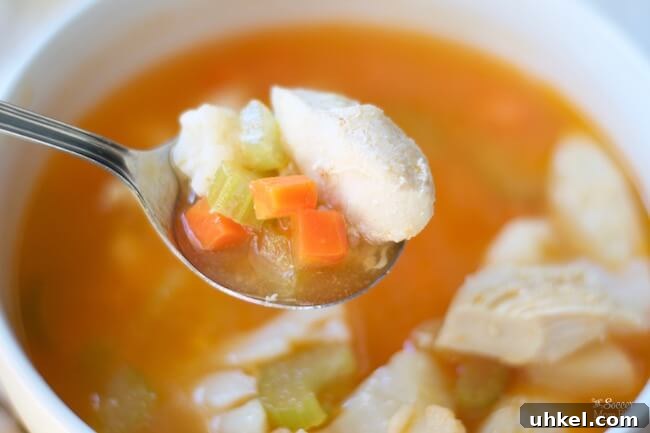 31 Sunday Meal Prep Ideas to Fuel Your Week 14 freezer chicken soup