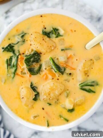 A bowl of cheesy soup with bits of spinach, gnocchi, and carrot suspended in the bowl.