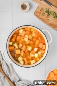 Roasted Butternut Squash and Apple Soup 17 A dutch oven filled with cubed sweet potato, apple, and broth.