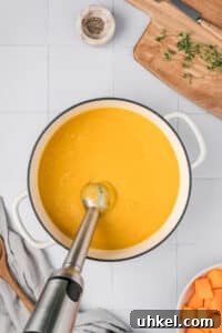 Roasted Butternut Squash and Apple Soup 18 Using an immersion blender to blend soup in a Dutch oven.