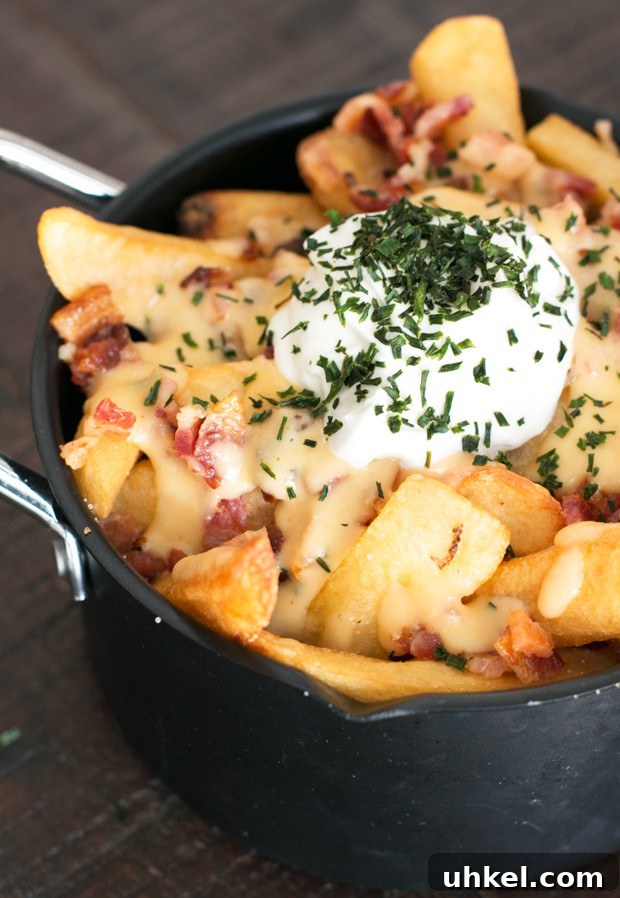 Oven Baked Loaded Potato Fries with Cheese and Bacon 2 Loaded Baked Potato Fries | cakenknife.com