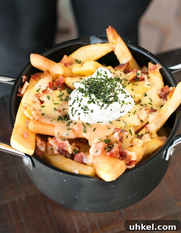 Oven Baked Loaded Potato Fries with Cheese and Bacon 3 Loaded Baked Potato Fries | cakenknife.com