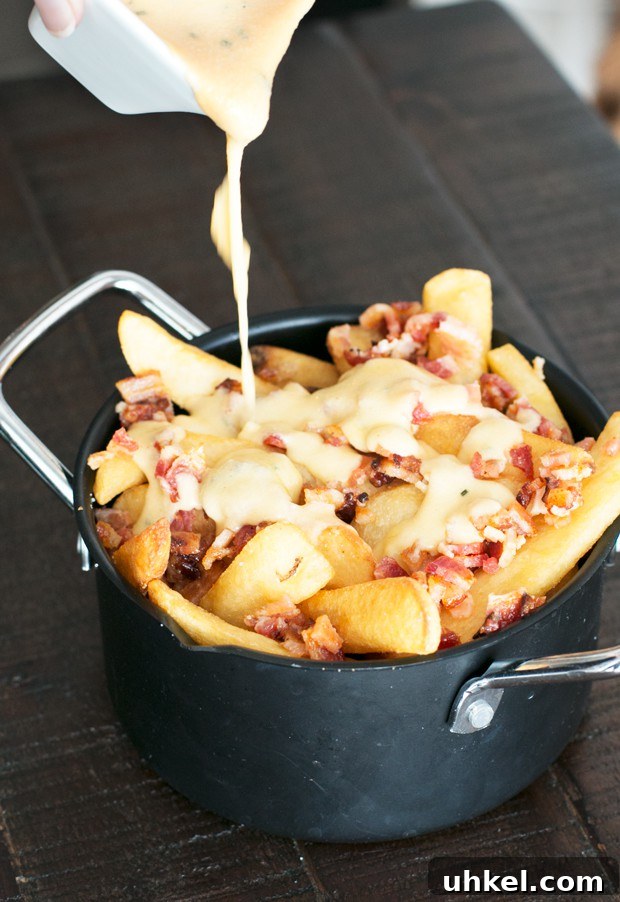 Oven Baked Loaded Potato Fries with Cheese and Bacon 4 Loaded Baked Potato Fries | cakenknife.com