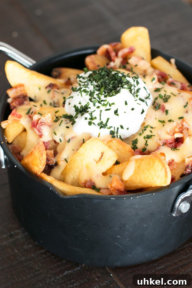 Oven Baked Loaded Potato Fries with Cheese and Bacon 6 Loaded Baked Potato Fries | cakenknife.com