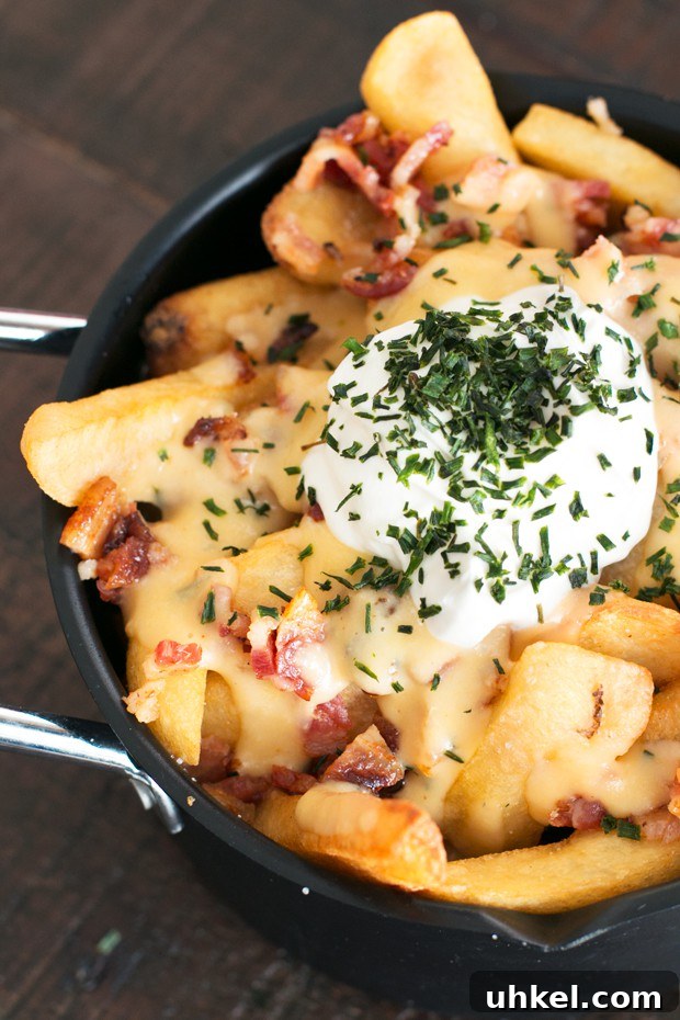 Oven Baked Loaded Potato Fries with Cheese and Bacon 7 Loaded Baked Potato Fries | cakenknife.com