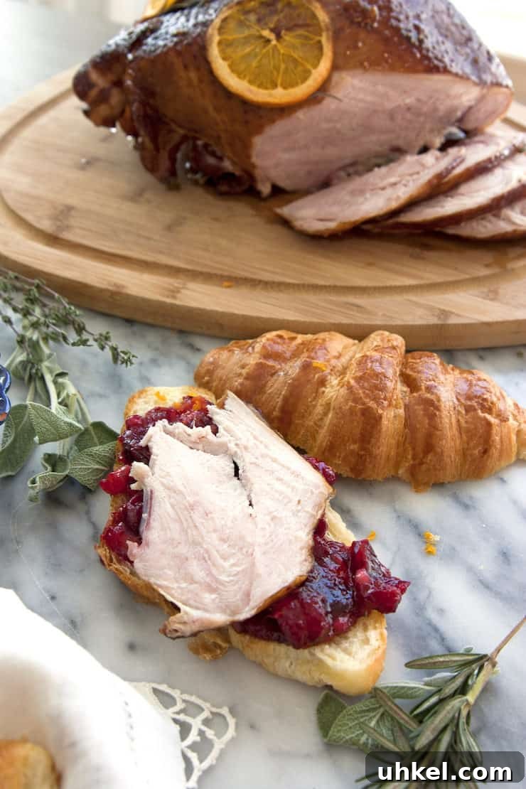Smoked Turkey and Cranberry Croissant Sandwich Recipe 6 img 34530 5