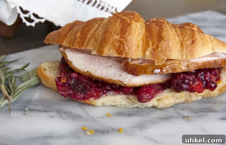 Smoked Turkey and Cranberry Croissant Sandwich Recipe 7 img 34530 6
