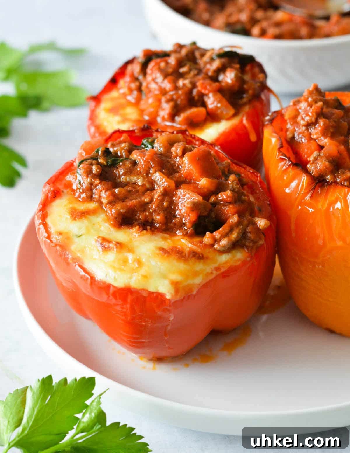Lasagna Stuffed Bell Peppers with Savory Italian Filling 2 stuffed bell peppers with melted cheese and marinara sauce.
