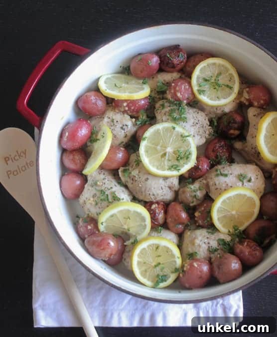 Garlic Lemon Pan-Roasted Chicken Thighs 2 Pan Roasted Garlic Lemon Chicken Thighs