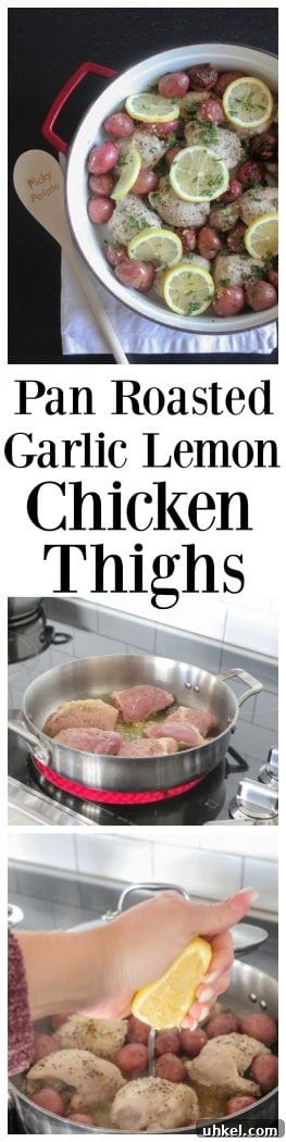 Garlic Lemon Pan-Roasted Chicken Thighs 10 Pan Roasted Garlic Lemon Chicken Thighs