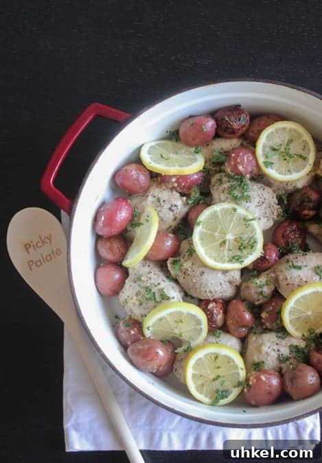 Garlic Lemon Pan-Roasted Chicken Thighs 8 Pan Roasted Garlic Lemon Chicken Thighs