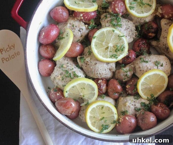 Garlic Lemon Pan-Roasted Chicken Thighs 9 Pan Roasted Garlic Lemon Chicken Thighs