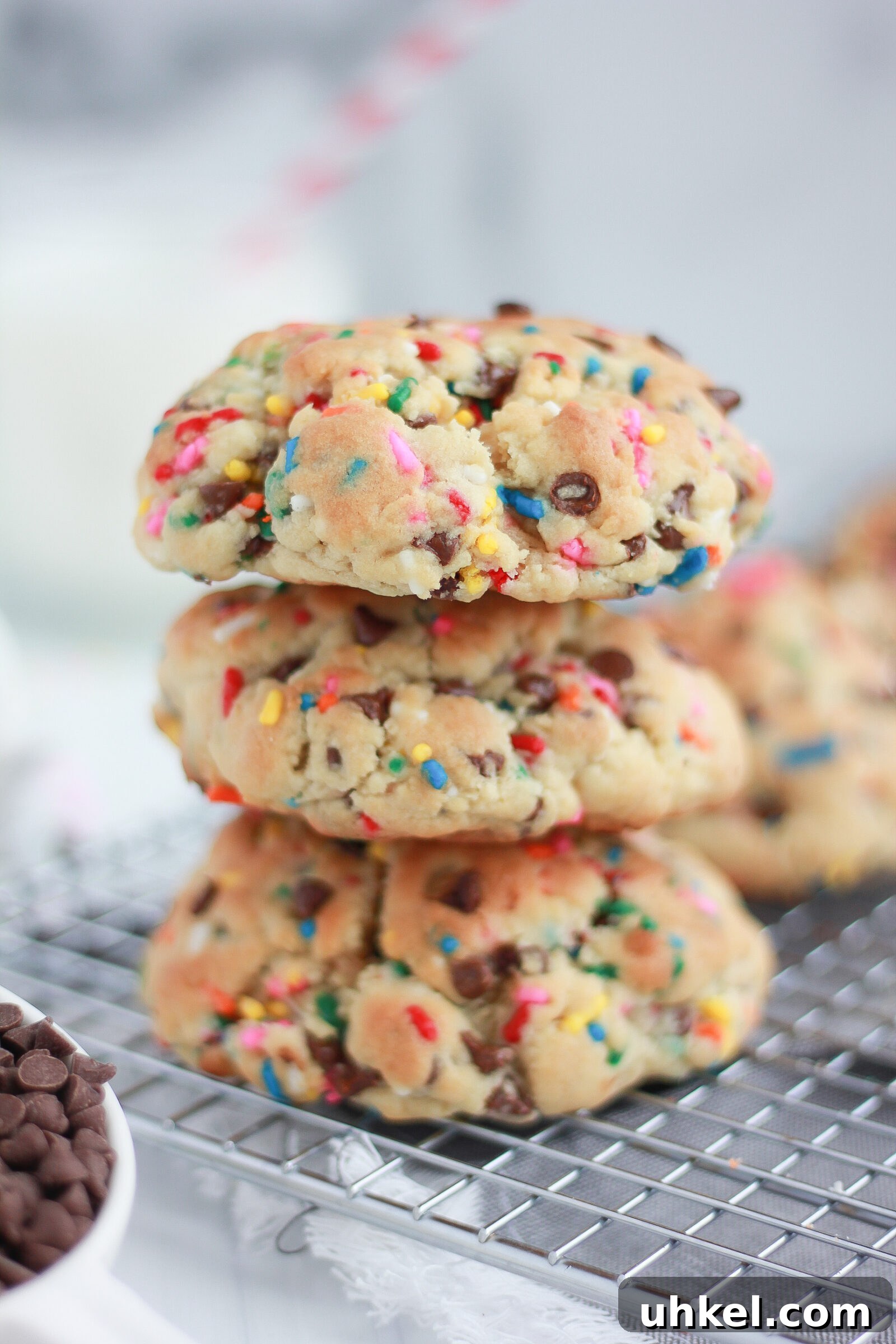 Funfetti Chocolate Chip Cookie Recipe with Sprinkles 4 Cookie texture