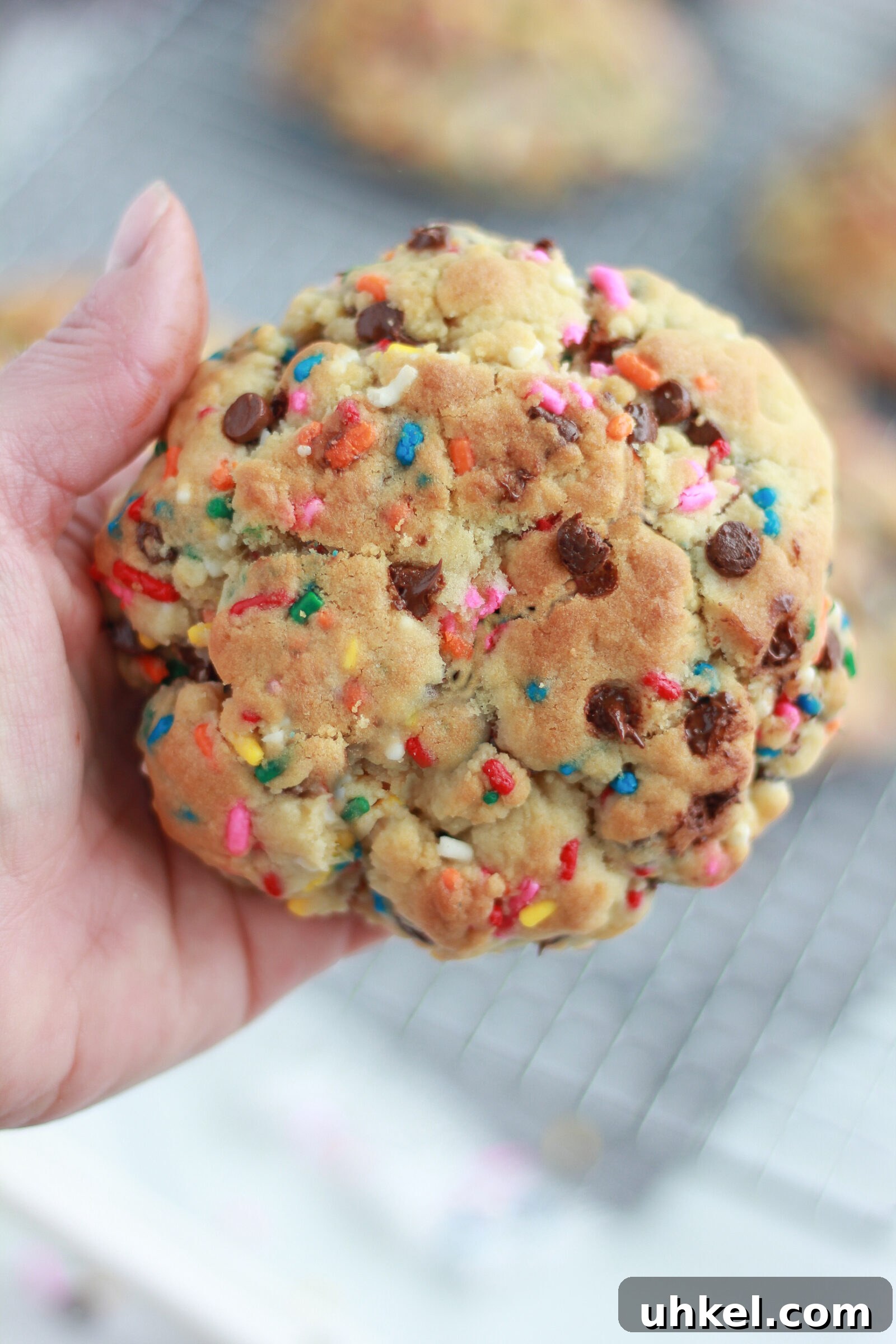 Funfetti Chocolate Chip Cookie Recipe with Sprinkles 8 Baked funfetti cookies