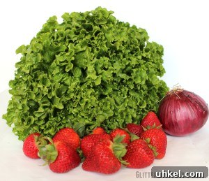 Strawberry Poppy Seed Salad Kids Love 3 IMG_8881a