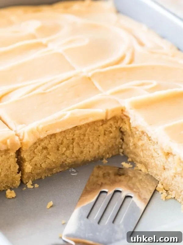 Classic Chocolate Chip Sheet Cake Recipe 9 Peanut butter sheet cake that's been frosted and sliced in its pan.