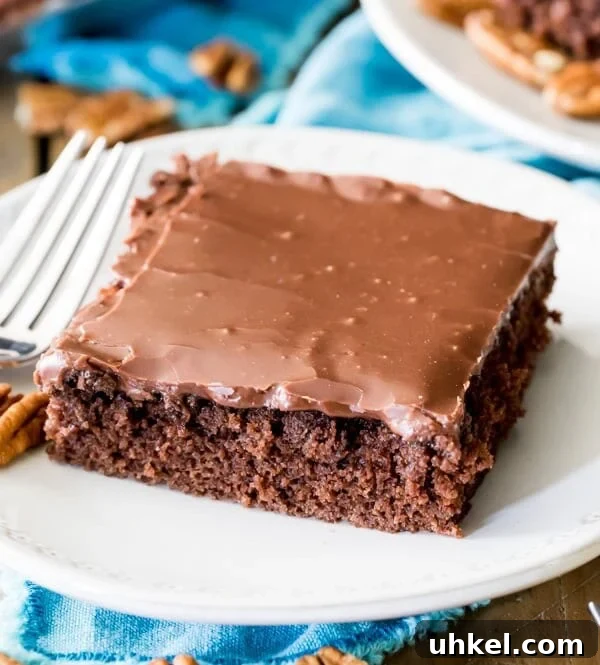 Classic Chocolate Chip Sheet Cake Recipe 7 texas sheet cake on white plate